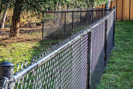 Dolphin Fence Chain-link-fence Home  